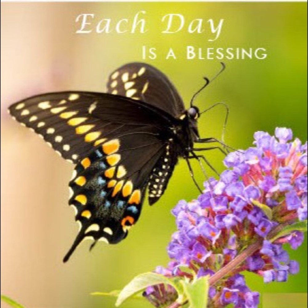 Cherish the day the Lord has given you!